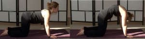 Yoga for Sleep 2